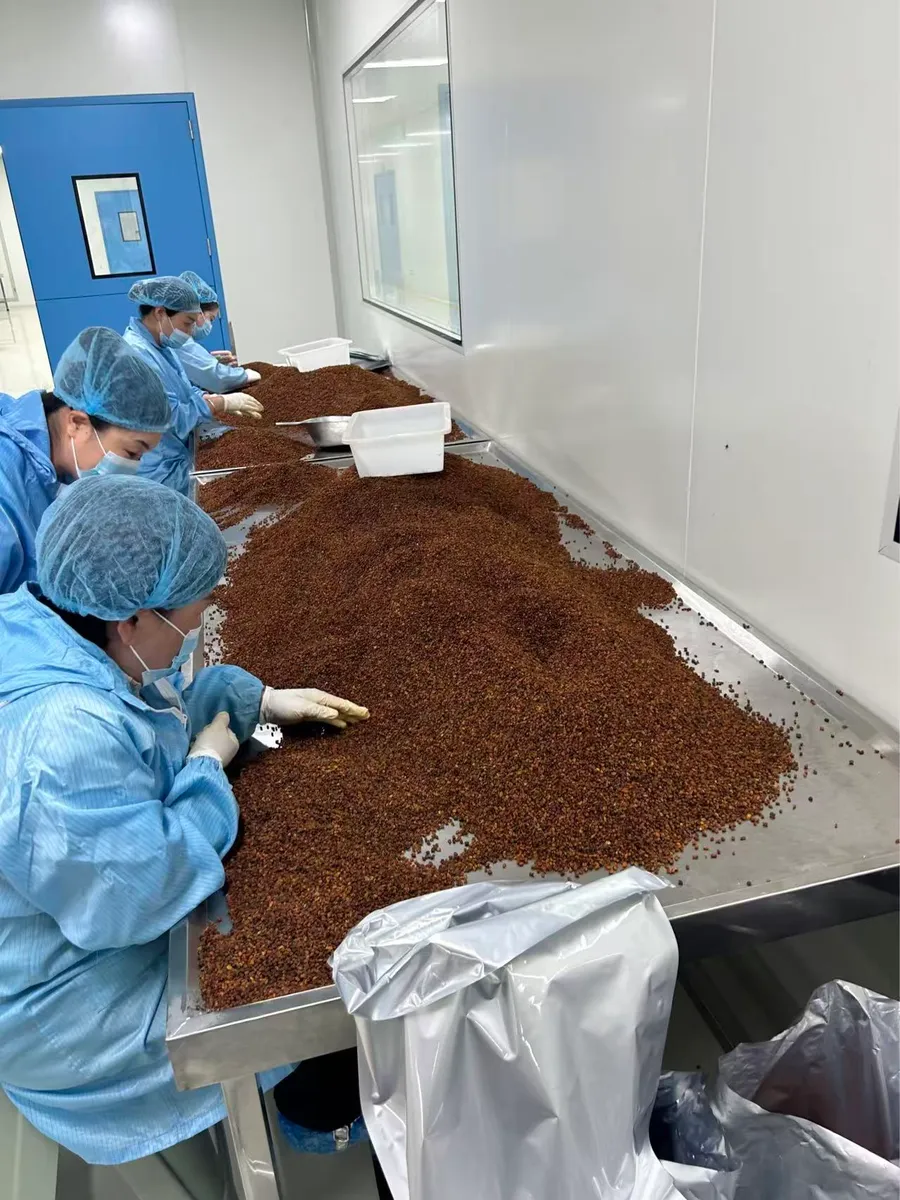 10 tons of premium sea buckthorn berries hand-selected for oil extraction — exported to India by Zhouhetang